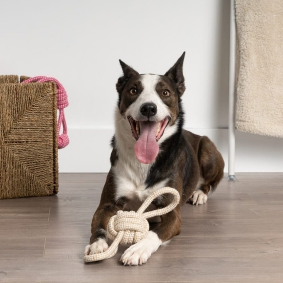 Pull & Play Rope Toy For Dogs - Picture 5 of 6